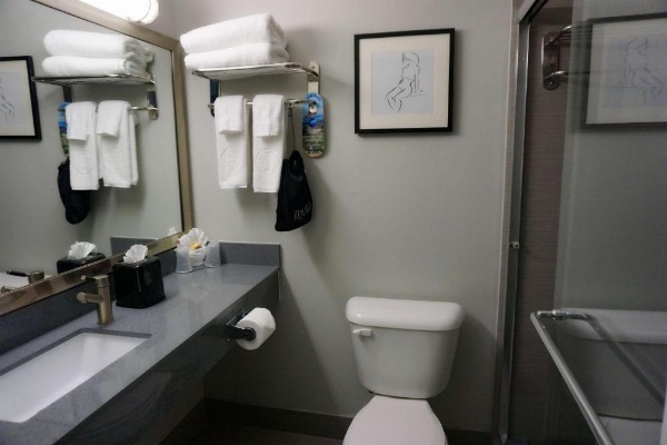 Hartford Hotel, BW Signature Collection image 14